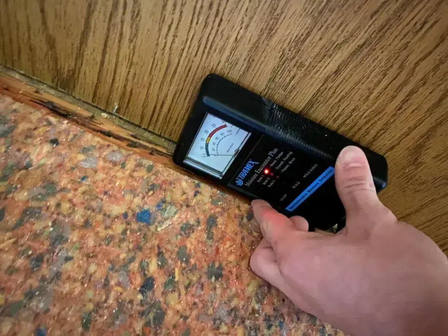 Moisture meter reading a wall base above a wet carpet pad