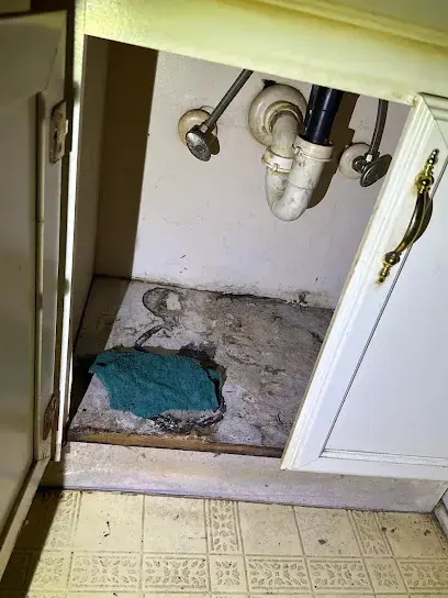 Appliance and Supply Line Leaks in Perris, CA