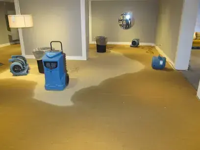 Dehumidifier and air movers drying a wet carpet across an open room